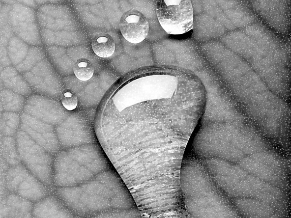 black and white raindrop footprint